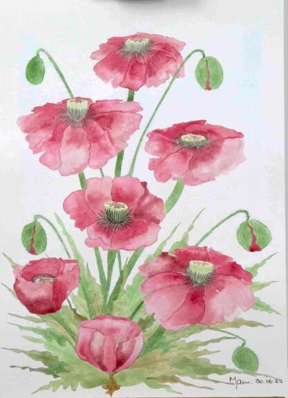 Watercolour painting of Abstract Red Poppy on a bank by Irish artist. Buy paintings for your home or office 100% hassle free shopping